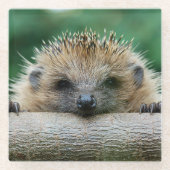 Kutest Baby Animals | Egel Smile Glazen Onderzetter (Voorkant)