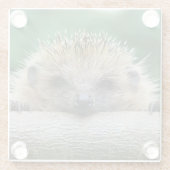 Kutest Baby Animals | Egel Smile Glazen Onderzetter (Achterkant)