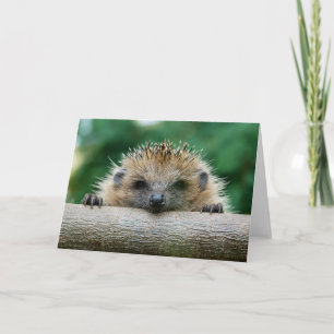 Kutest Baby Animals Egel Smile Kaart