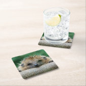 Kutest Baby Animals | Egel Smile Kartonnen Onderzetters (Insitu)