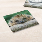 Kutest Baby Animals | Egel Smile Kartonnen Onderzetters (Schuin)