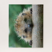 Kutest Baby Animals | Egel Smile Legpuzzel (Verticaal)