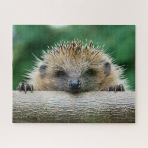 Kutest Baby Animals Egel Smile Legpuzzel