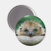 Kutest Baby Animals | Egel Smile Magneet (Voorkant / Achterkant)