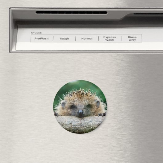 Kutest Baby Animals | Egel Smile Magneet (Insitu (Vaatwasser))