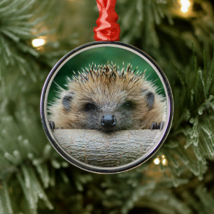 Kutest Baby Animals   Egel Smile Metalen Ornament