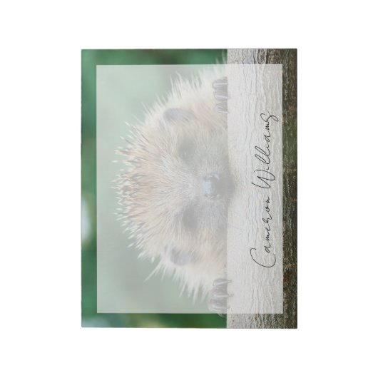 Kutest Baby Animals | Egel Smile Notitieblok (Linkerzijde)