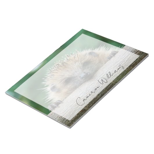 Kutest Baby Animals | Egel Smile Notitieblok (Schuin)