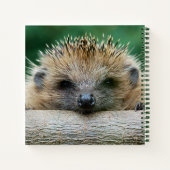 Kutest Baby Animals | Egel Smile Notitieboek (Achterkant)