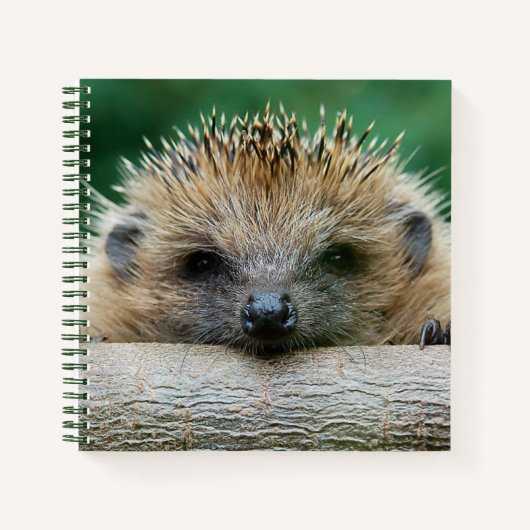 Kutest Baby Animals | Egel Smile Notitieboek (Voorkant)