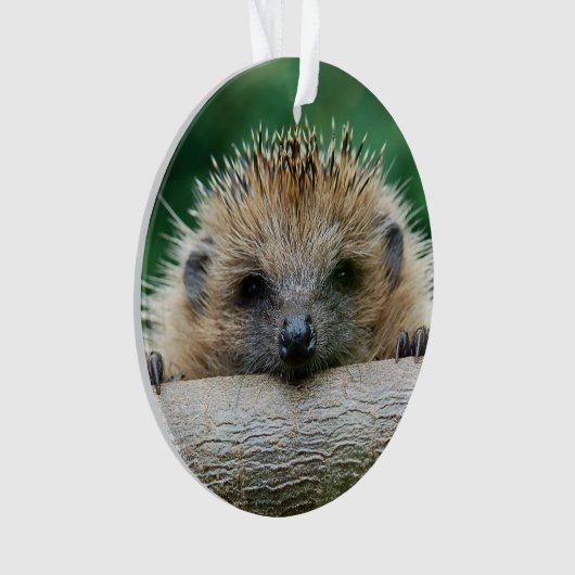 Kutest Baby Animals | Egel Smile Ornament (voorkant)