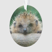 Kutest Baby Animals | Egel Smile Ornament (voorkant)