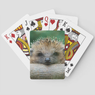 Kutest Baby Animals   Egel Smile Pokerkaarten