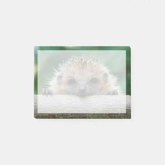 Kutest Baby Animals | Egel Smile Post-it® Notes (Voorkant)