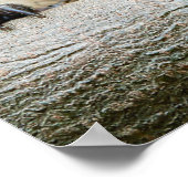 Kutest Baby Animals | Egel Smile Poster (Hoek)