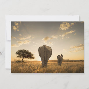 Kutest Baby Animals Elephant Calf en moeder Bedankkaart