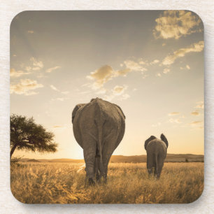 Kutest Baby Animals Elephant Calf en moeder Bier Onderzetter