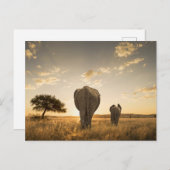Kutest Baby Animals | Elephant Calf en moeder Briefkaart (Voorkant / Achterkant)