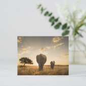Kutest Baby Animals | Elephant Calf en moeder Briefkaart (Staand voorkant)