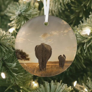 Kutest Baby Animals   Elephant Calf en moeder Glas Ornament