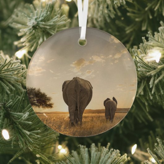 Kutest Baby Animals | Elephant Calf en moeder Glas Ornament (Insitu)