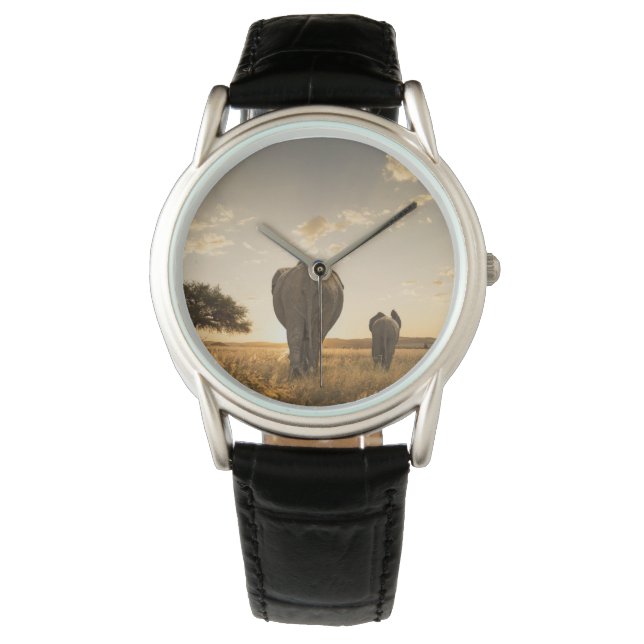 Kutest Baby Animals | Elephant Calf en moeder Horloge (Voorkant)