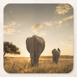 Kutest Baby Animals Elephant Calf en moeder Kartonnen Onderzetters