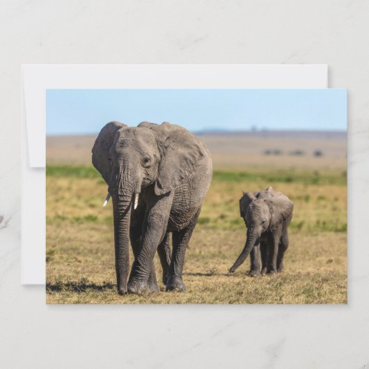 Kutest Baby Animals | Elephant Moeder & Baby Bedankkaart (Voorkant)