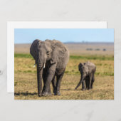 Kutest Baby Animals | Elephant Moeder & Baby Bedankkaart (Voorkant / Achterkant)