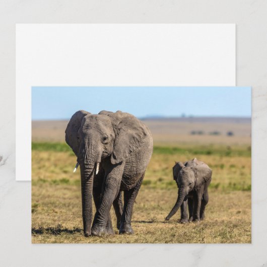 Kutest Baby Animals | Elephant Moeder & Baby Bedankkaart (Voorkant / Achterkant)