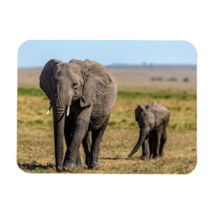 Kutest Baby Animals   Elephant Moeder & Baby Magneet