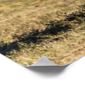 Kutest Baby Animals | Elephant Moeder & Baby Poster (Hoek)