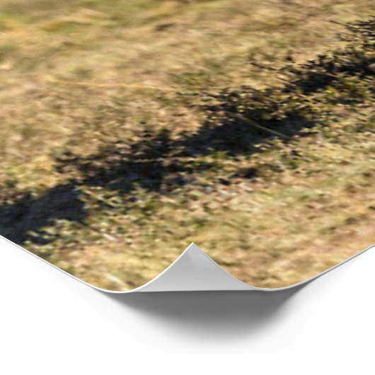 Kutest Baby Animals | Elephant Moeder & Baby Poster (Hoek)