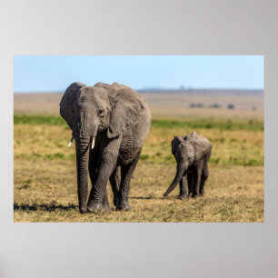 Kutest Baby Animals   Elephant Moeder & Baby Poster
