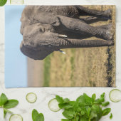 Kutest Baby Animals | Elephant Moeder & Baby Theedoek (Gevouwen)