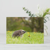 Kutest Baby Animals | Europese egel Bedankkaart (Staand voorkant)