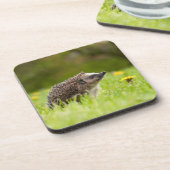 Kutest Baby Animals | Europese egel Bier Onderzetter (Linkerzijde)