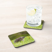 Kutest Baby Animals | Europese egel Bier Onderzetter (Rechterzijde)