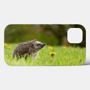 Kutest Baby Animals   Europese egel Case-Mate iPhone Case