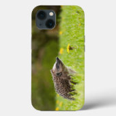 Kutest Baby Animals | Europese egel Case-Mate iPhone Case (Achterkant)