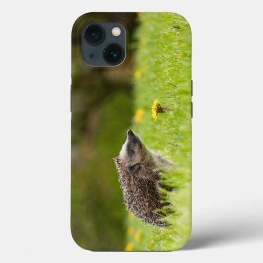 Kutest Baby Animals | Europese egel Case-Mate iPhone Case (Achterkant)