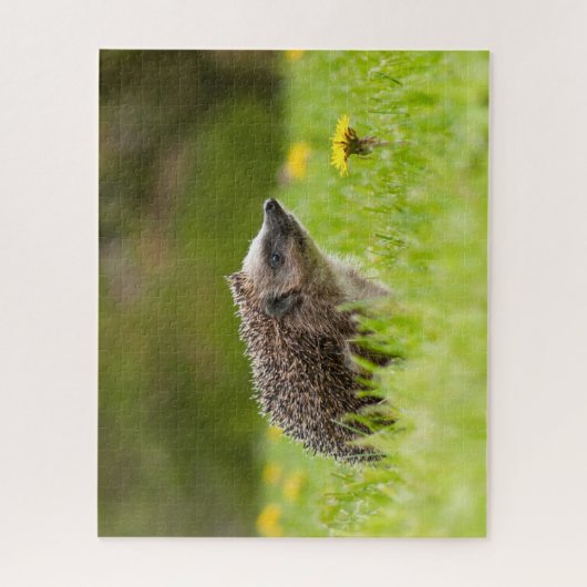 Kutest Baby Animals | Europese egel Legpuzzel (Verticaal)