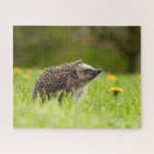 Kutest Baby Animals | Europese egel Legpuzzel (Horizontaal)