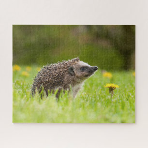 Kutest Baby Animals Europese egel Legpuzzel