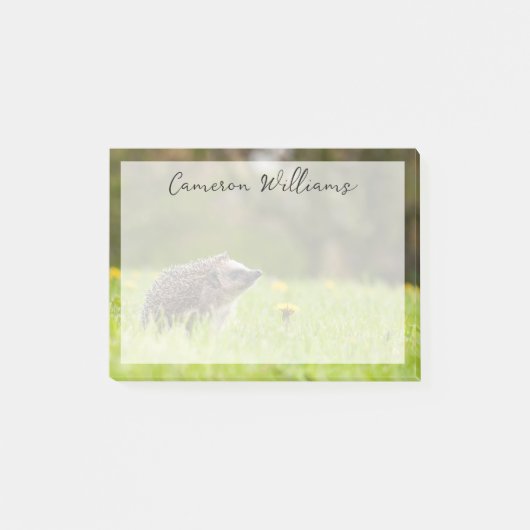 Kutest Baby Animals | Europese egel Post-it® Notes (Voorkant)