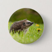 Kutest Baby Animals | Europese egel Ronde Button 5,7 Cm (Voorkant)