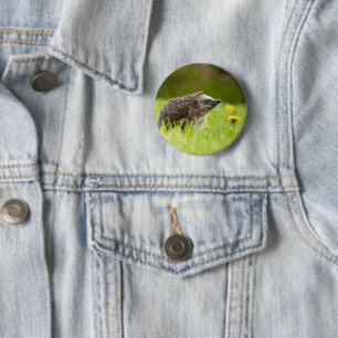 Kutest Baby Animals   Europese egel Ronde Button 5,7 Cm