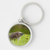 Kutest Baby Animals | Europese egel Sleutelhanger (Voorkant)