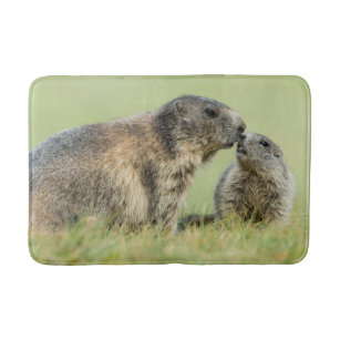 Kutest Baby Animals   Familie Alpine Marmot Badmat
