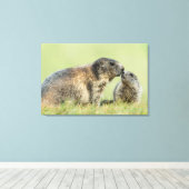 Kutest Baby Animals | Familie Alpine Marmot Canvas Afdruk (Insitu (Houten vloer))
